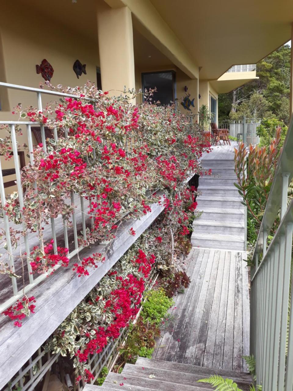 פאיהייה Allegra House מראה חיצוני תמונה